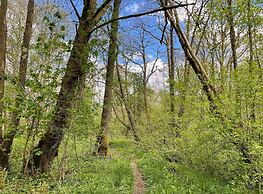 Cosy Woodland off Grid Shepherds Hut - Rowan