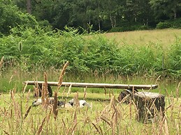 Cosy Woodland off Grid Shepherds Hut - Rowan