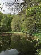 Cosy Woodland off Grid Shepherds Hut - Rowan