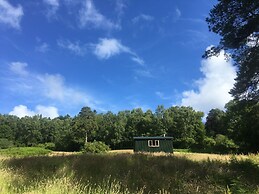 Cosy Woodland off Grid Shepherds Hut - Rowan