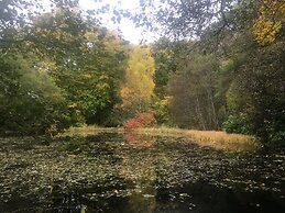 Cosy Woodland off Grid Shepherds Hut - Rowan