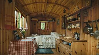 Cosy Woodland off Grid Shepherds Hut - Rowan