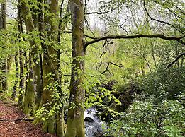 Cosy Woodland off Grid Shepherds Hut - Rowan
