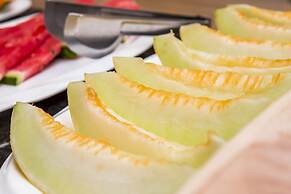 Hotel Metropole Paulinia