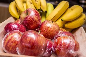 Hotel Metropole Paulinia