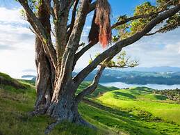 Coromandel Shelly Beach TOP 10 Holiday Park