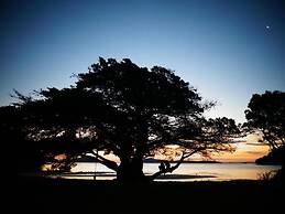 Coromandel Shelly Beach TOP 10 Holiday Park