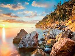 Coromandel Shelly Beach TOP 10 Holiday Park