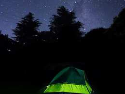 Coromandel Shelly Beach TOP 10 Holiday Park