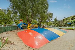 Coromandel Shelly Beach TOP 10 Holiday Park