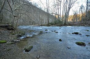 Nantahala Riverside 3 Bedroom Cabin by RedAwning