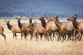 Creekside -- Ev #3481 4 Bedroom Home by RedAwning