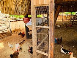 Hotel Vista de Aguilas Ecolodge