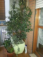 Double Room For Vacations In Roma