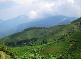 Sapa Homestay In Remote Village