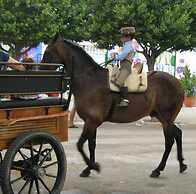 Special Fair In Malaga Beach Wifi