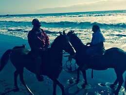 Welcome to Scandinavia Hotel B b