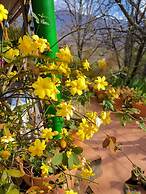 Casa Rural la Casa Magica De Gredos