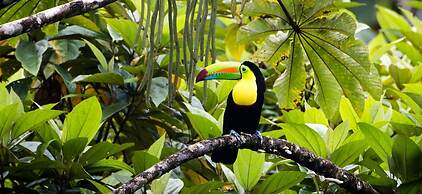 Room-villa # 3 - High End Studio Apartme