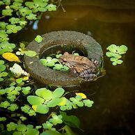 Room-villa # 3 - High End Studio Apartme