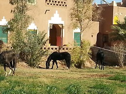 Room in Guest Room - Auberge Jnane dar Diafa se Trouve au Centre de Ta