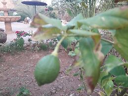Room in Guest Room - Auberge Jnane dar Diafa se Trouve au Centre de Ta