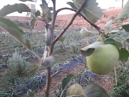 Room in Guest Room - Auberge Jnane dar Diafa se Trouve au Centre de Ta