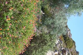 Sea View Apartment In Beautiful Sardinia - 7 Mins Walk to Beach