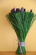 Acogedor Y Bien Ubicado Wifi