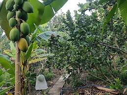 Peaceful Homestay in the Middle of Fruit Garden - Room With two Double