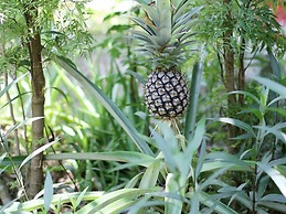 Peaceful Homestay in the Middle of Fruit Garden - Room With Public Res