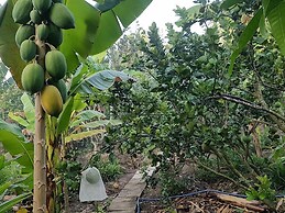 Peaceful Homestay in the Middle of Fruit Garden - Room With Public Res