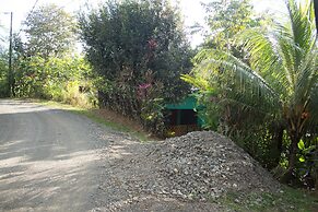 Enchanting House Overlooking the Primary Forest