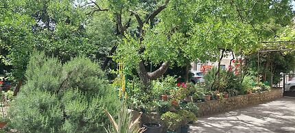 Studio Apartments Roza - A Charming Oasis in the Centre of Makarska