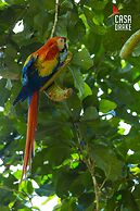 Room-private Honeymoon Bungalow