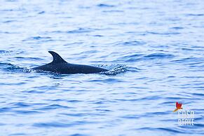 Room-private Honeymoon Bungalow