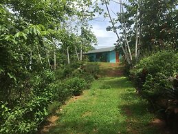 Room-villa With Primary Forest View