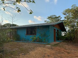 Room-villa With Primary Forest View