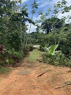 Room-villa With Primary Forest View
