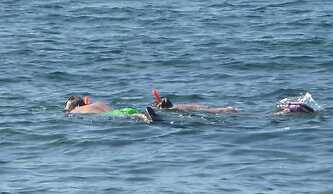 Cottage-apartment On The Coast In Rural Bliss