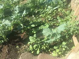 Reens Vacation Rentals