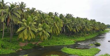 Room in Lodge - Room in Royal Cottage, Anaimalai