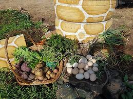 Maison la Branche d Oiseaux