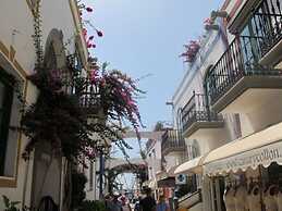 Harbour 332 in Puerto De Mogan