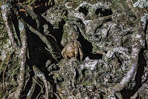 Xiaoyeliu Camping Area