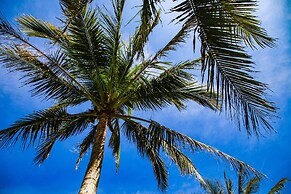 Xiaoyeliu Camping Area