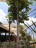 Hotel Boutique Rayón 50