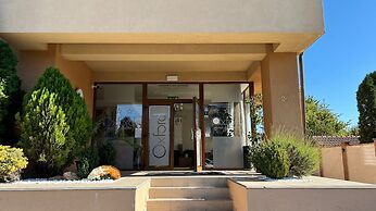 Hotel Oxford Inn & Suites