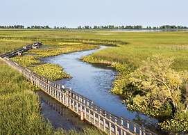 Holiday Inn Express & Suites Windsor East - Lakeshore by IHG