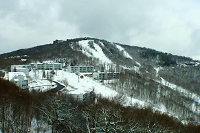 Sugar Ski & Country Club Unit 11-402 Bronze